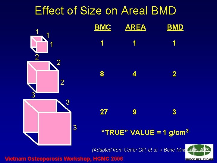 Effect of Size on Areal BMD 1 1 1 2 BMC AREA BMD 1