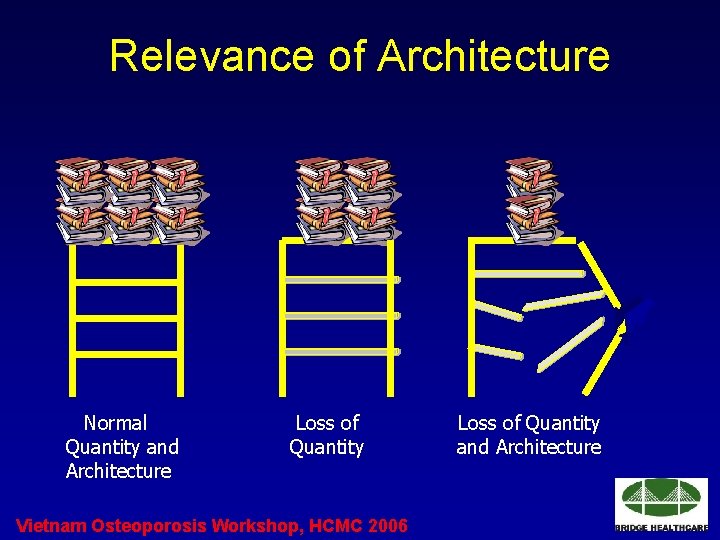 Relevance of Architecture Normal Quantity and Architecture Loss of Quantity Vietnam Osteoporosis Workshop, HCMC