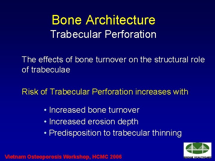 Bone Architecture Trabecular Perforation The effects of bone turnover on the structural role of