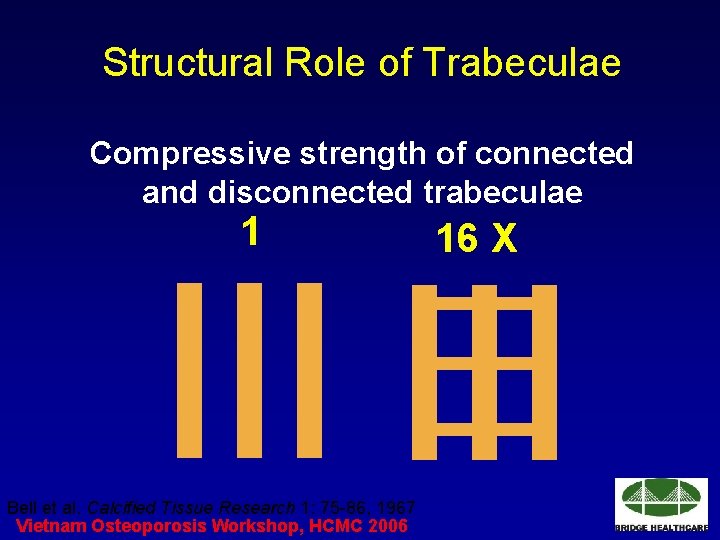 Structural Role of Trabeculae Compressive strength of connected and disconnected trabeculae 1 Bell et