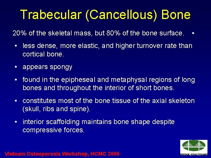 Trabecular (Cancellous) Bone 20% of the skeletal mass, but 80% of the bone surface.