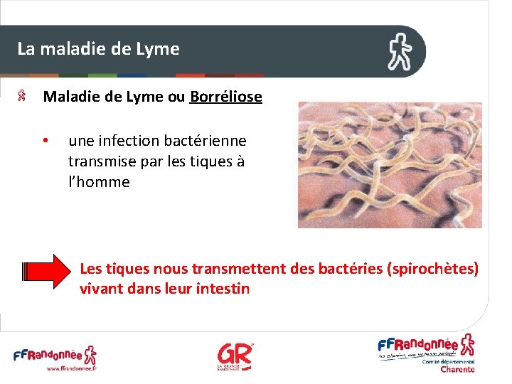 La maladie de Lyme Maladie de Lyme ou Borréliose • une infection bactérienne transmise