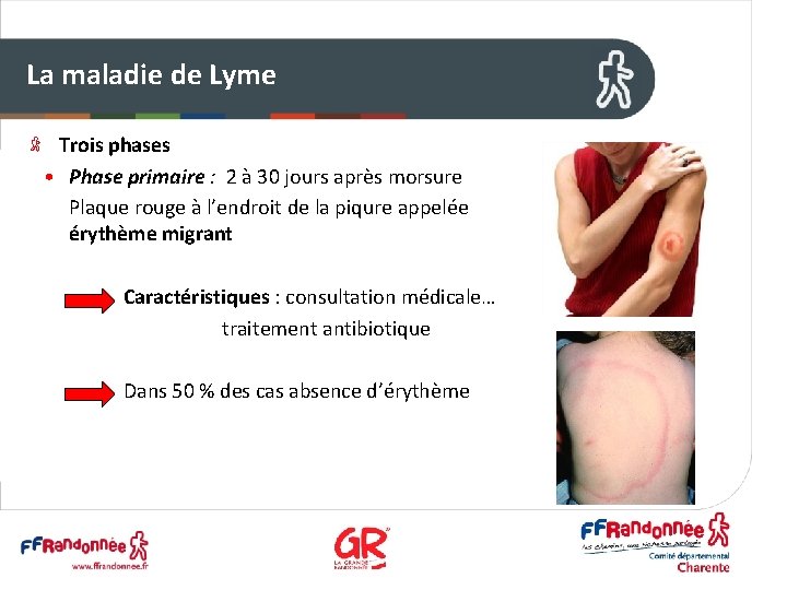 La maladie de Lyme Trois phases • Phase primaire : 2 à 30 jours