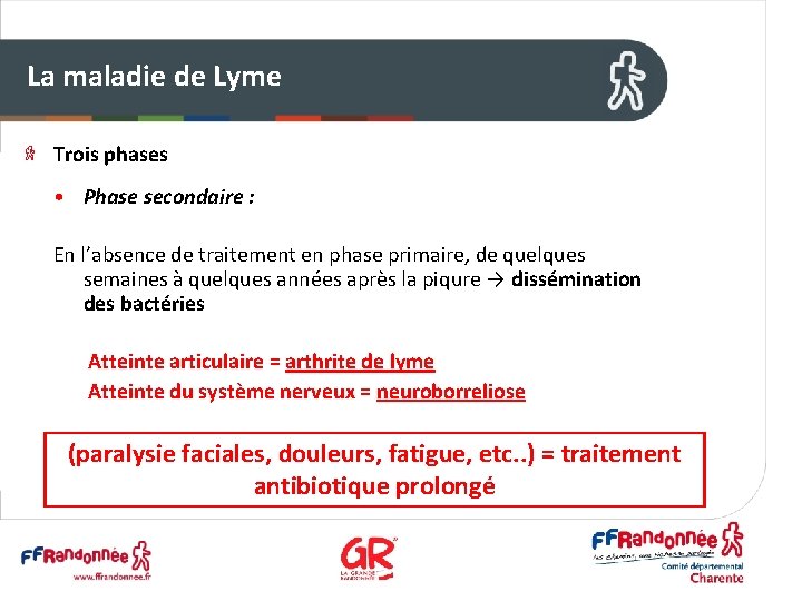 La maladie de Lyme Trois phases • Phase secondaire : En l’absence de traitement