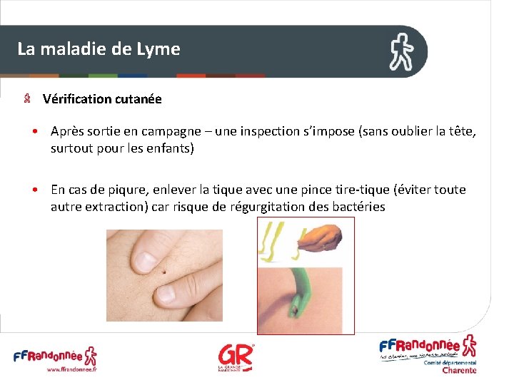 La maladie de Lyme Vérification cutanée • Après sortie en campagne – une inspection
