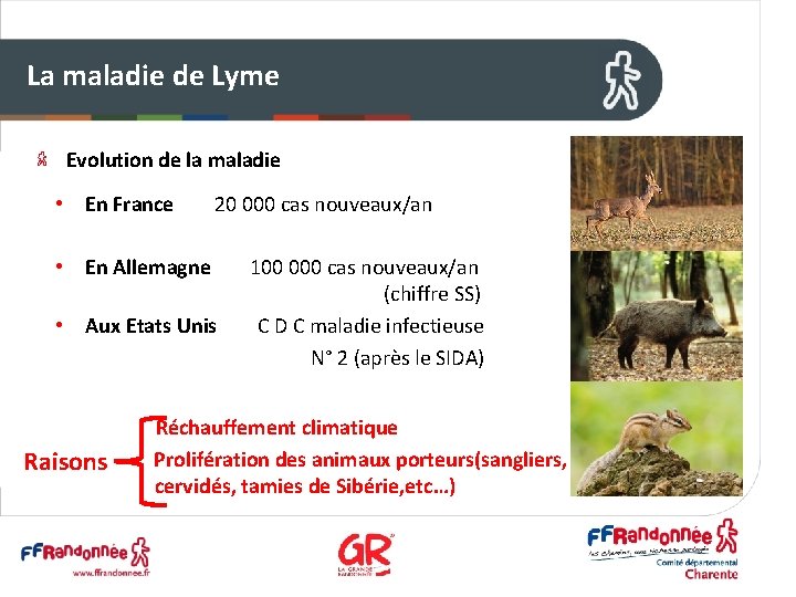 La maladie de Lyme Evolution de la maladie • En France 20 000 cas