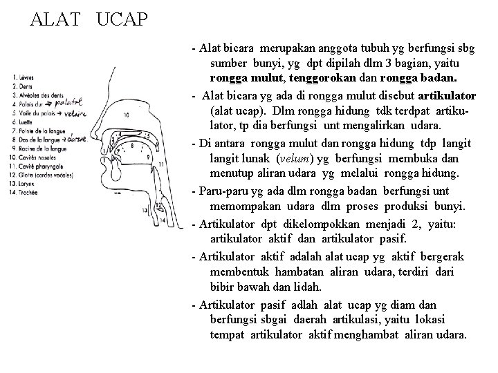 ALAT UCAP - Alat bicara merupakan anggota tubuh yg berfungsi sbg sumber bunyi, yg