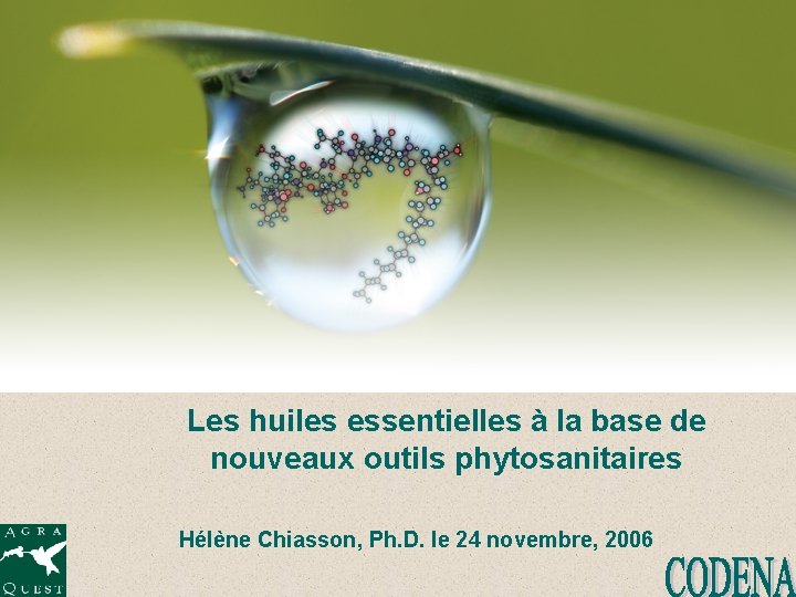 Les huiles essentielles à la base de nouveaux outils phytosanitaires Hélène Chiasson, Ph. D.