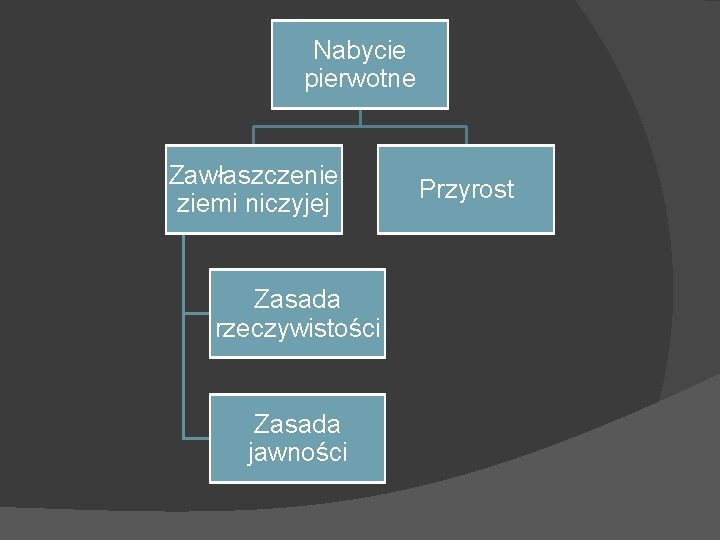 Nabycie pierwotne Zawłaszczenie ziemi niczyjej Zasada rzeczywistości Zasada jawności Przyrost 