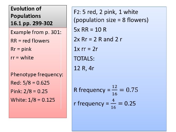 Evolution of Populations 16. 1 pp. 299 -302 Example from p. 301: RR =