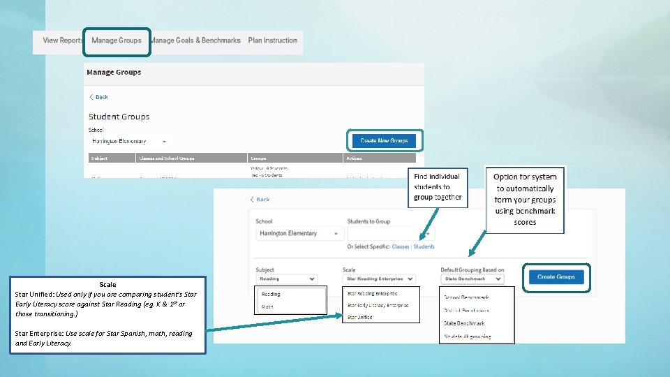 Scale Star Unified: Used only if you are comparing student’s Star Early Literacy score