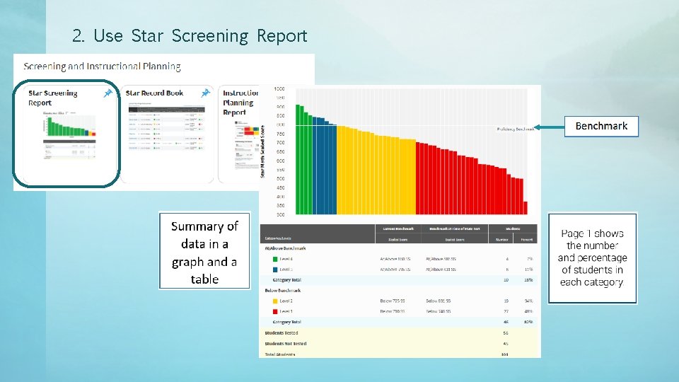 2. Use Star Screening Report 
