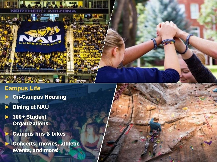 Campus Life ► On-Campus Housing ► Dining at NAU ► 300+ Student Organizations ►