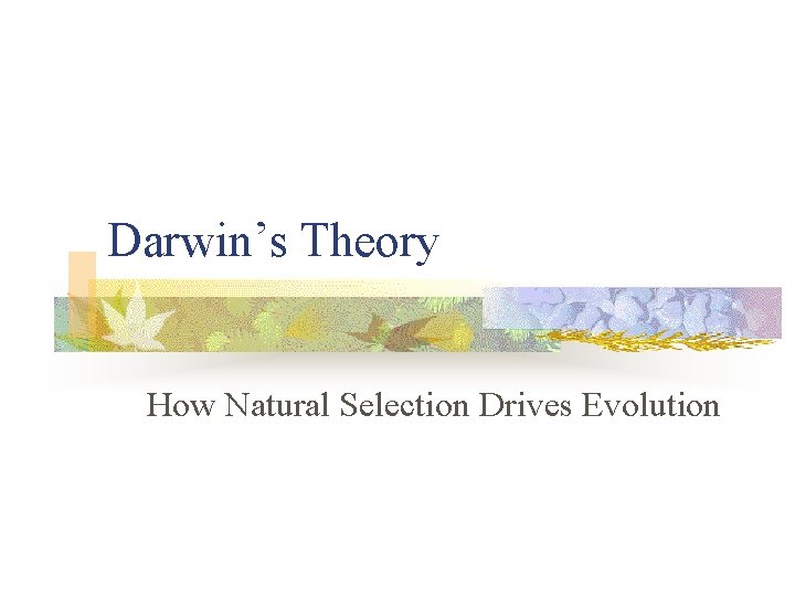 Darwin’s Theory How Natural Selection Drives Evolution 
