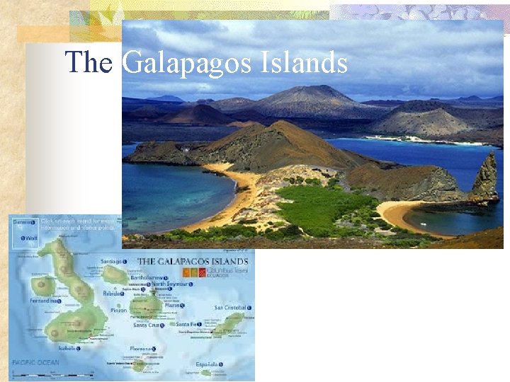 The Galapagos Islands 