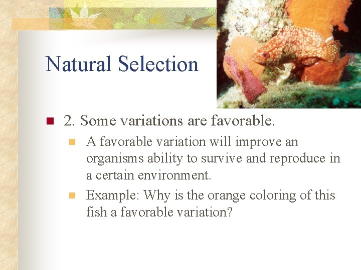 Natural Selection n 2. Some variations are favorable. n n A favorable variation will
