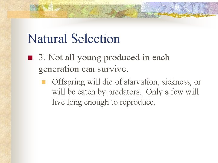 Natural Selection n 3. Not all young produced in each generation can survive. n