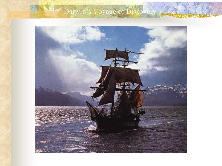 Darwin’s Voyage of Discovery A reconstruction of the HMS Beagle sailing off Patagonia. 