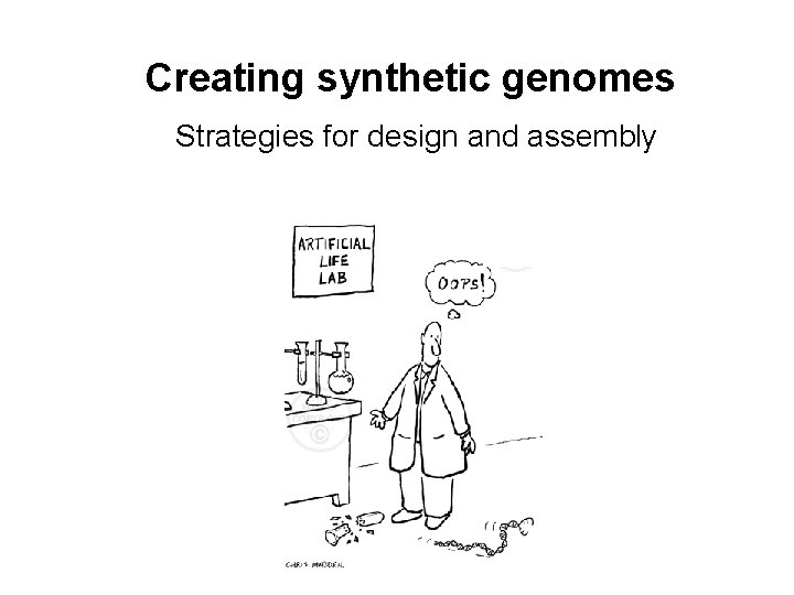 Creating synthetic genomes Strategies for design and assembly 