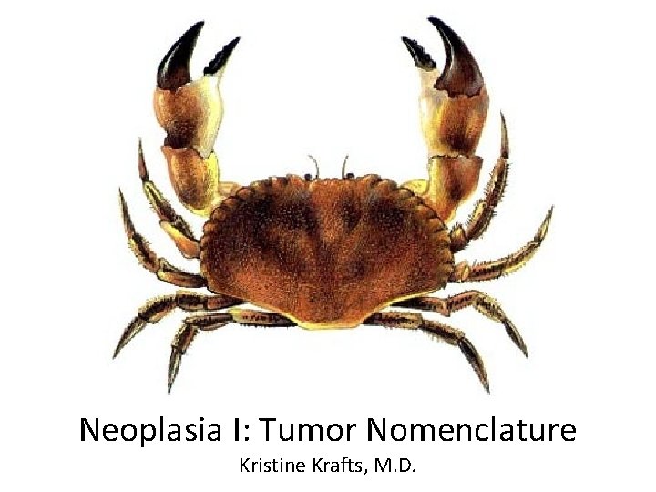 Neoplasia I: Tumor Nomenclature Kristine Krafts, M. D. 