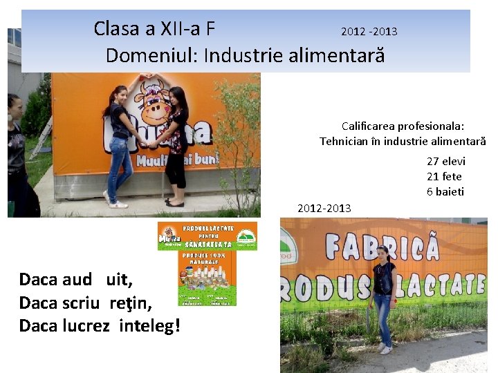 Clasa a XII-a F 2012 -2013 Domeniul: Industrie alimentară Calificarea profesionala: Tehnician în industrie