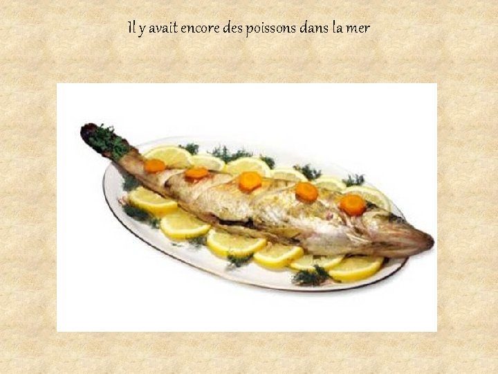 Il y avait encore des poissons dans la mer 