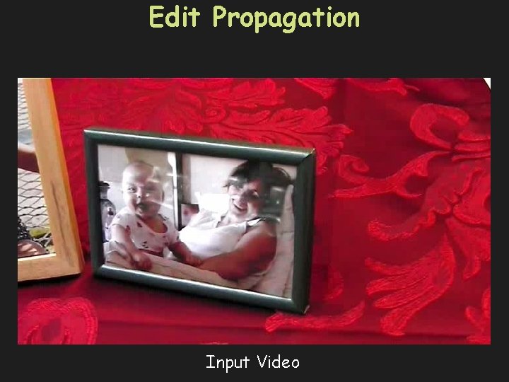 Edit Propagation Input Video 