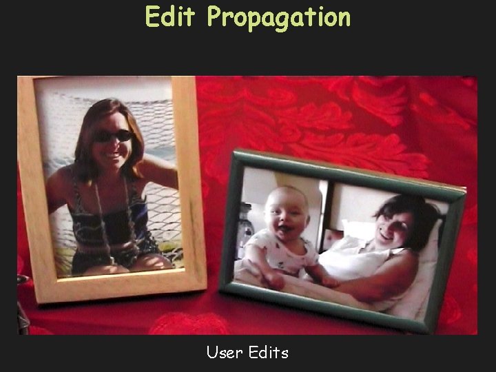 Edit Propagation User Edits 