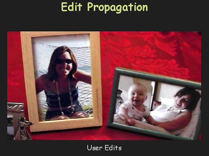 Edit Propagation User Edits 