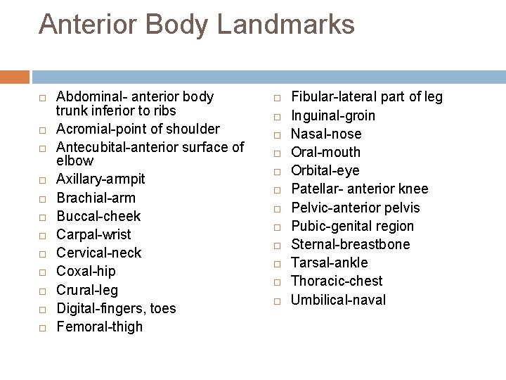 Anterior Body Landmarks Abdominal- anterior body trunk inferior to ribs Acromial-point of shoulder Antecubital-anterior