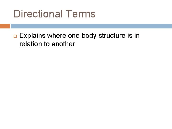 Directional Terms Explains where one body structure is in relation to another 