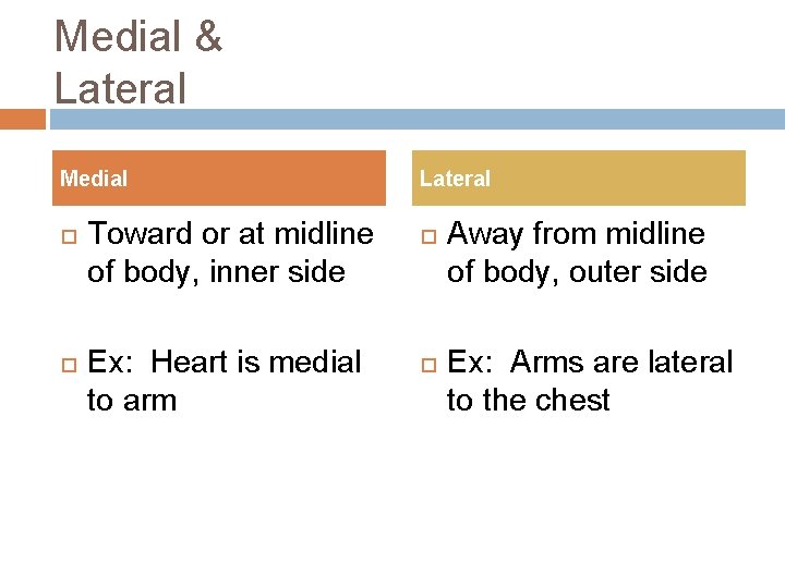 Medial & Lateral Medial Toward or at midline of body, inner side Ex: Heart