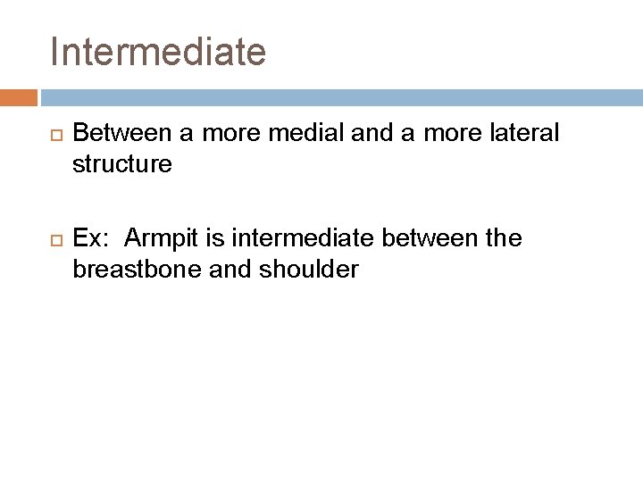 Intermediate Between a more medial and a more lateral structure Ex: Armpit is intermediate