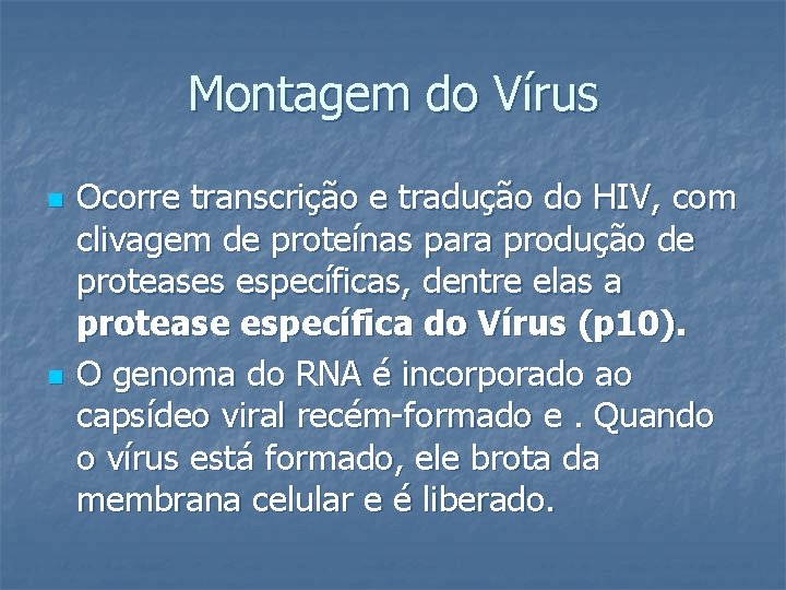 Montagem do Vírus n n Ocorre transcrição e tradução do HIV, com clivagem de