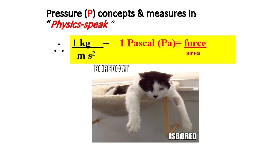 Pressure (P) concepts & measures in “Physics-speak “ 1 kg = m s 2