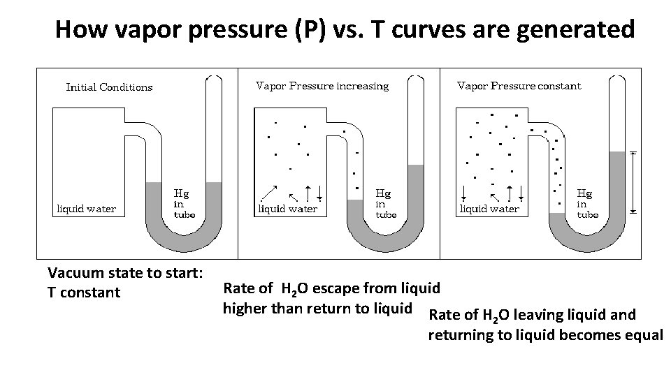 How vapor pressure (P) vs. T curves are generated Vacuum state to start: T