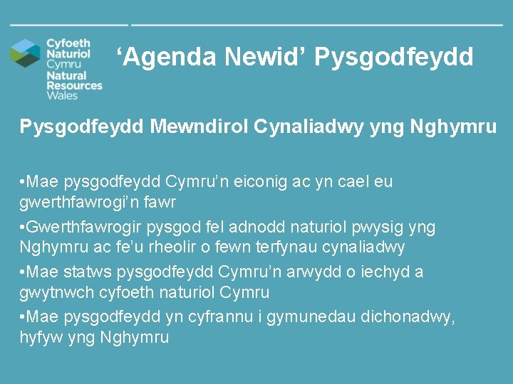 ‘Agenda Newid’ Pysgodfeydd Mewndirol Cynaliadwy yng Nghymru • Mae pysgodfeydd Cymru’n eiconig ac yn