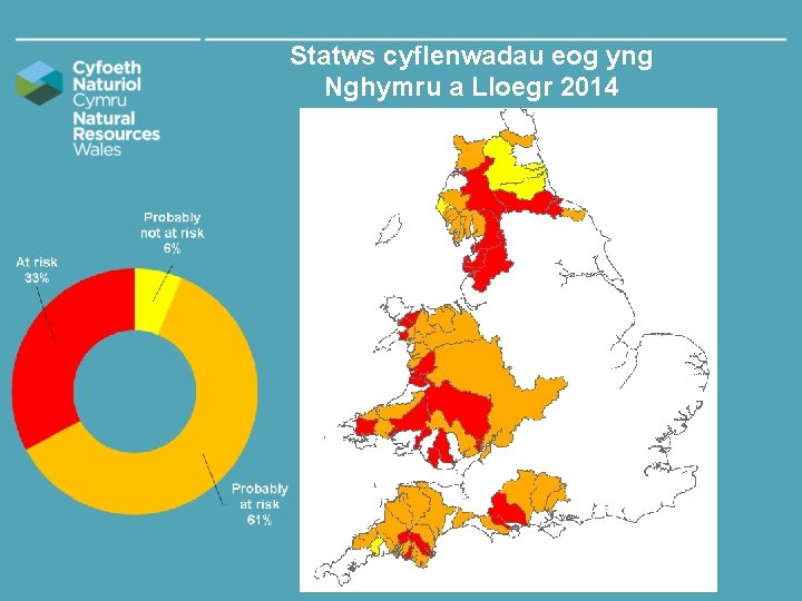 Statws cyflenwadau eog yng Nghymru a Lloegr 2014 