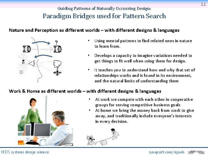 Guiding Patterns of Naturally Occurring Design: Paradigm Bridges used for Pattern Search Nature and
