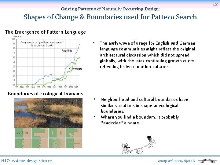 Guiding Patterns of Naturally Occurring Design: Shapes of Change & Boundaries used for Pattern