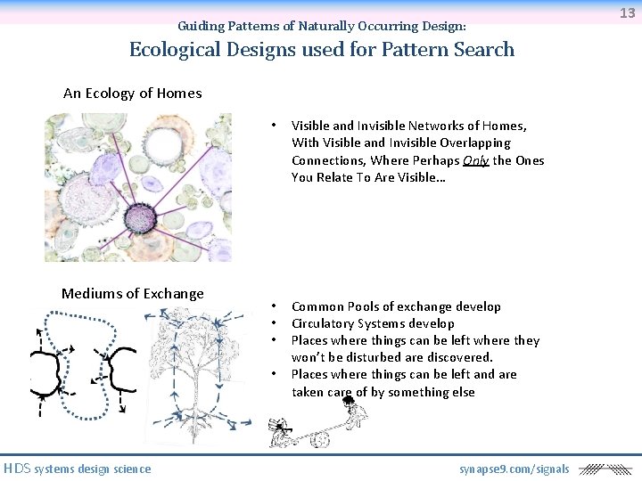 Guiding Patterns of Naturally Occurring Design: Ecological Designs used for Pattern Search An Ecology