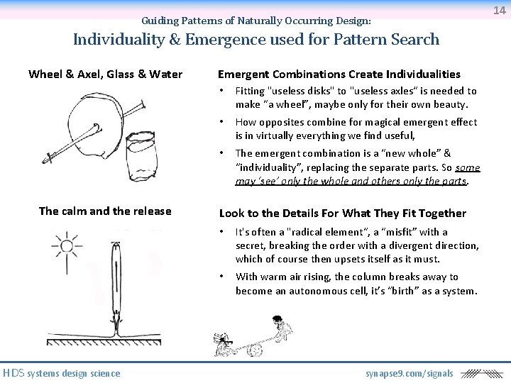Guiding Patterns of Naturally Occurring Design: Individuality & Emergence used for Pattern Search Wheel