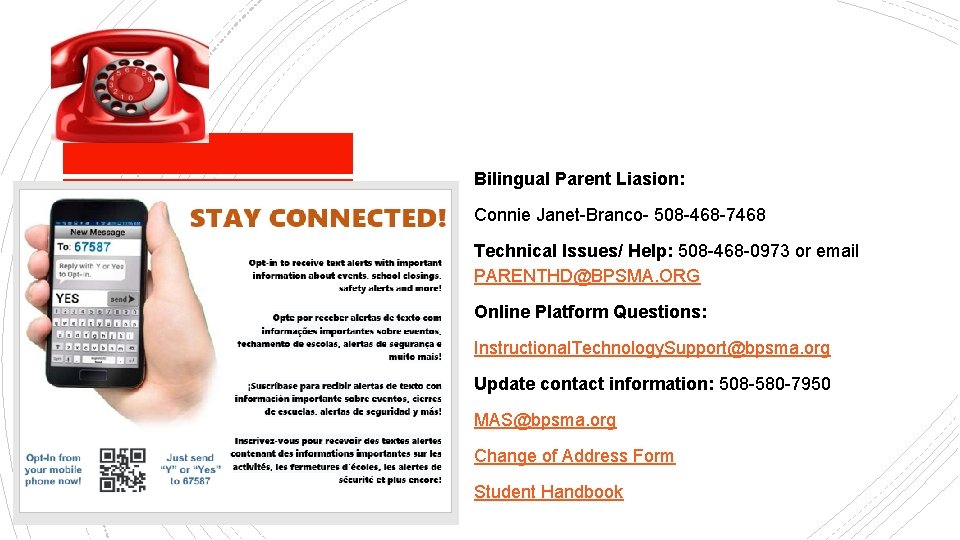 Bilingual Parent Liasion: Connie Janet-Branco- 508 -468 -7468 Technical Issues/ Help: 508 -468 -0973