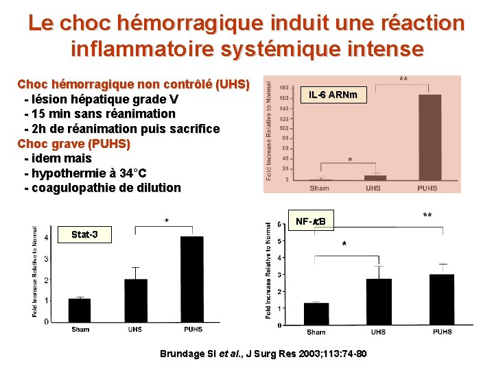 Le choc hémorragique induit une réaction inflammatoire systémique intense Choc hémorragique non contrôlé (UHS)