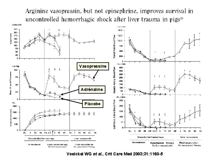 Vasopressine Adrénaline Placebo Voelckel WG et al. , Crit Care Med 2003; 31: 1160