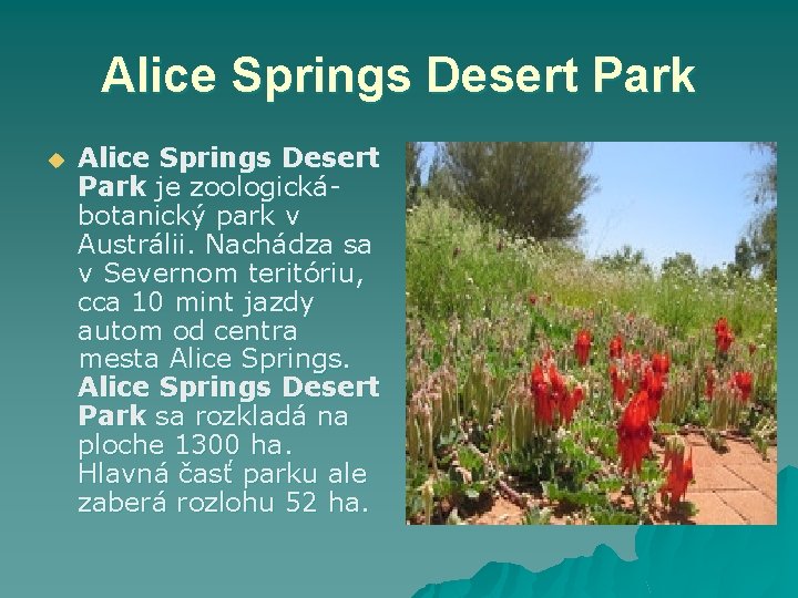 Alice Springs Desert Park u Alice Springs Desert Park je zoologickábotanický park v Austrálii.