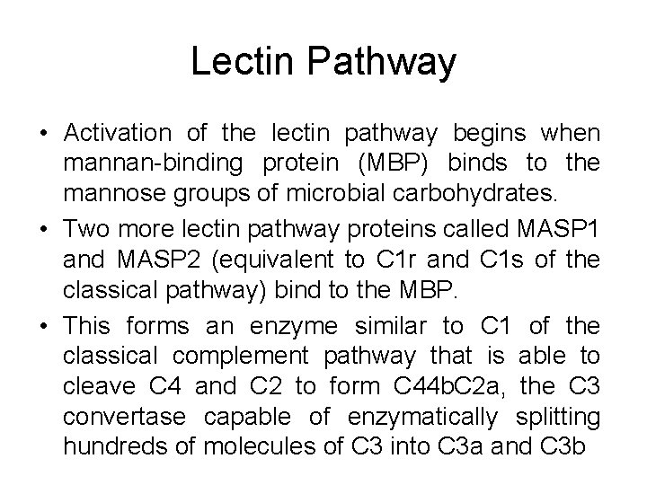 Lectin Pathway • Activation of the lectin pathway begins when mannan-binding protein (MBP) binds