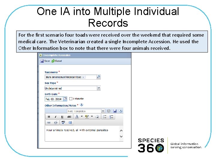 One IA into Multiple Individual Records For the first scenario four toads were received