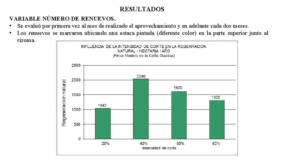 RESULTADOS VARIABLE NÚMERO DE RENUEVOS. • Se evaluó por primera vez al mes de