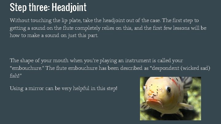 Step three: Headjoint Without touching the lip plate, take the headjoint out of the